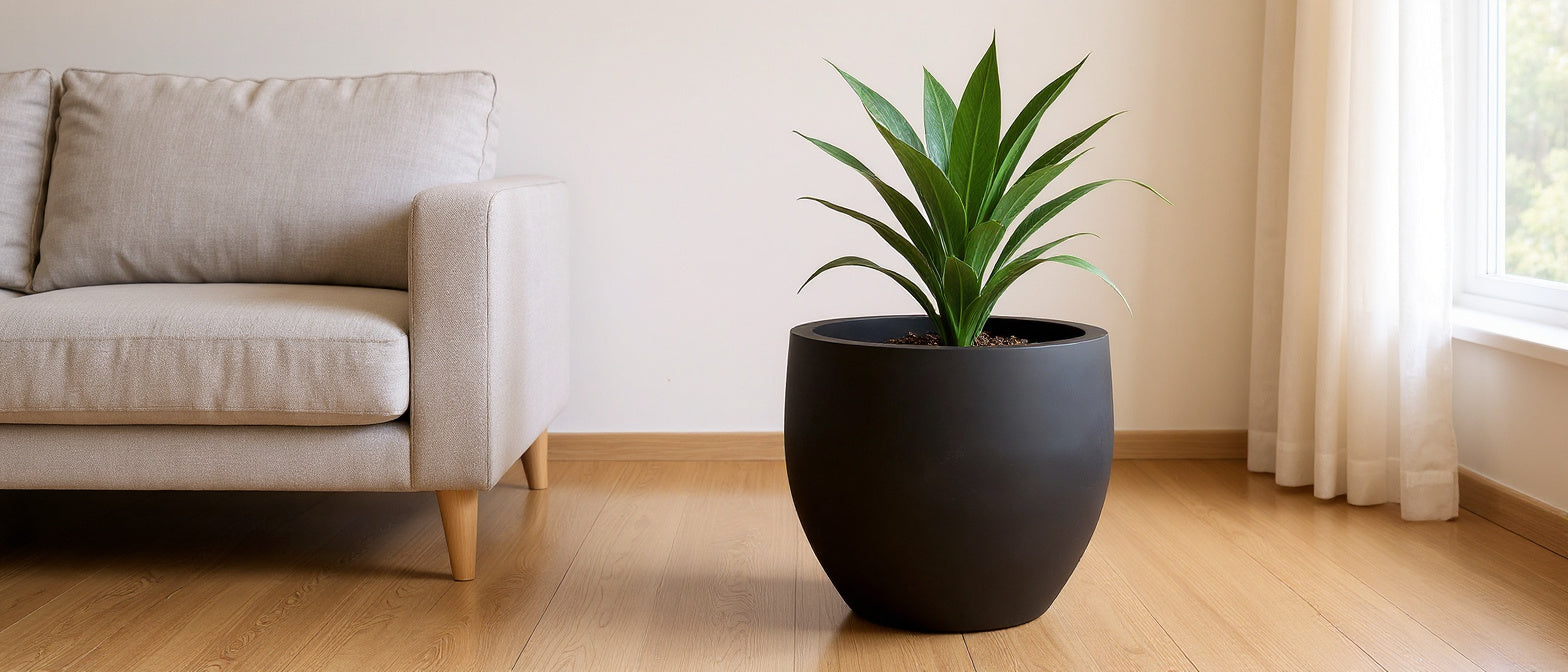 Vensioshop Vaseo charcoal ceramic planter with a green plant in a bright modern living room